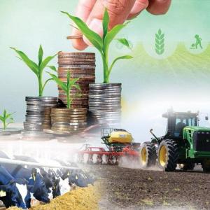 2,5% несиелер: «Ауыл аманаты» бағдарламасы ауыл тұрғындарының әл-ауқатын арттыруға қалай көмектеседі